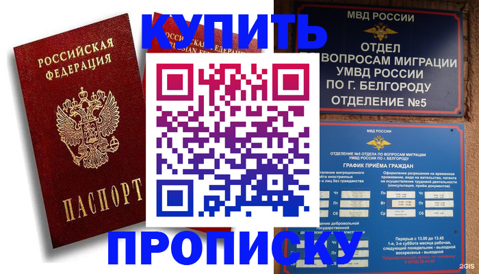 прописка иностранных граждан в Раменском